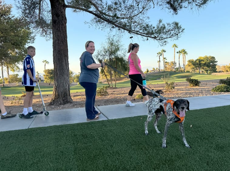 dogWalking dogWalking